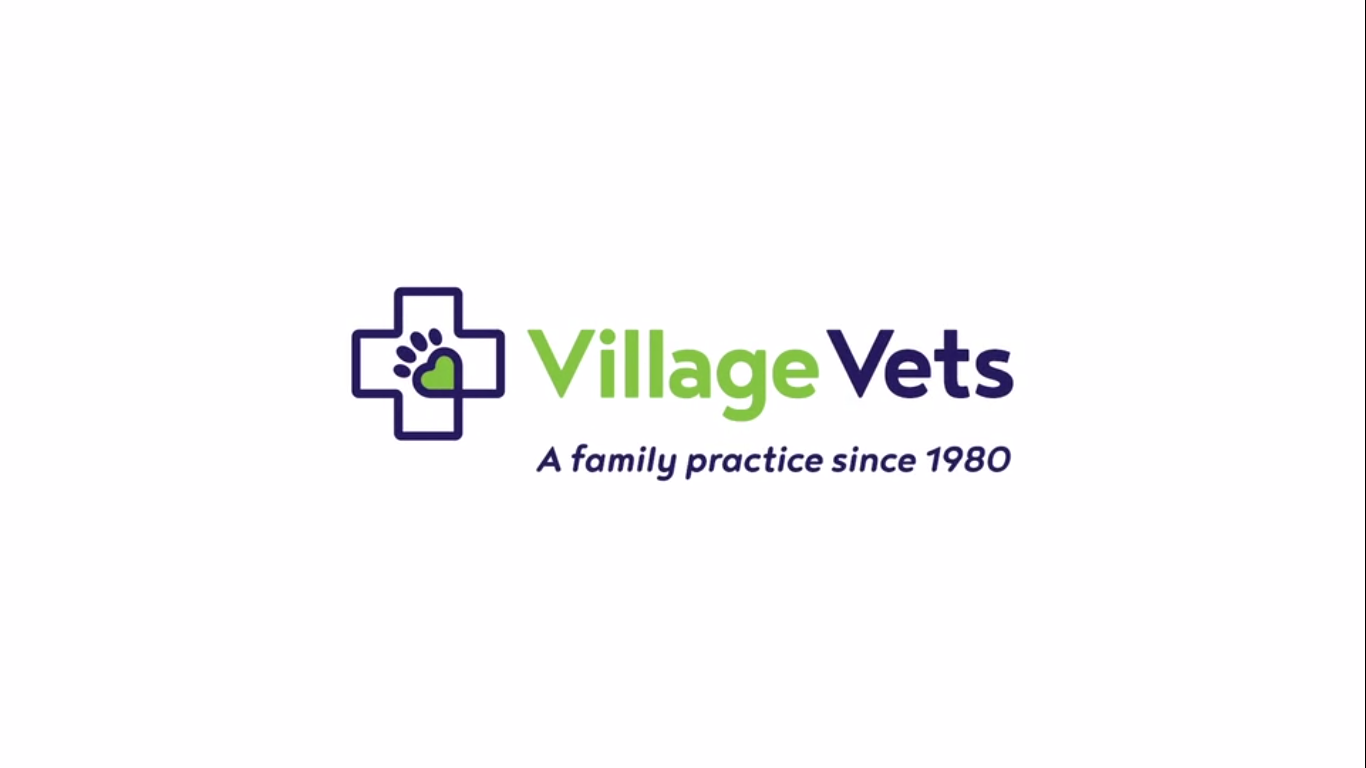 Veterinary video campaign for Village Vets Visual Burst